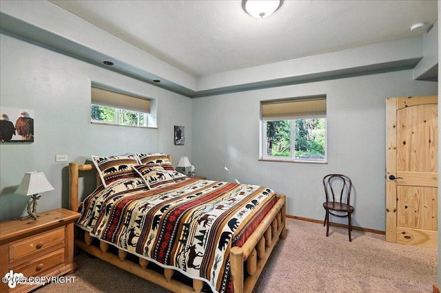 18095 Langille Rd, Cooper Landing, AK 99572 - carpeted bedroom with baseboards