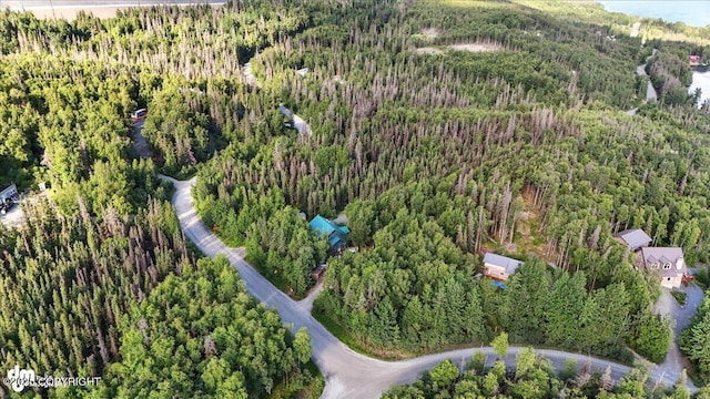 18095 Langille Rd, Cooper Landing, AK 99572 - aerial view of property and surrounding area featuring a heavily wooded area