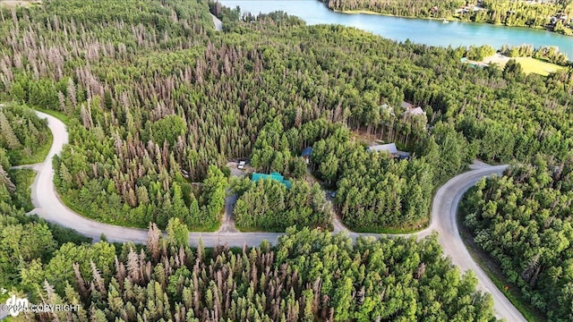 18095 Langille Rd, Cooper Landing, AK 99572 - aerial view of property's location featuring a large body of water and a forest
