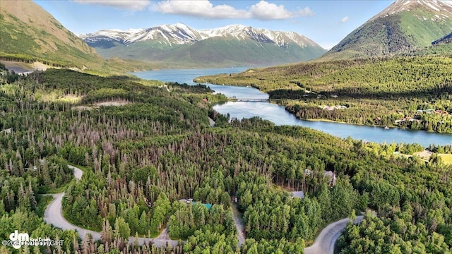 18095 Langille Rd, Cooper Landing, AK 99572 - view of mountain backdrop with a forest and a large body of water