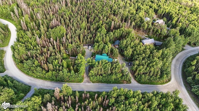 18095 Langille Rd, Cooper Landing, AK 99572 - aerial view of property and surrounding area