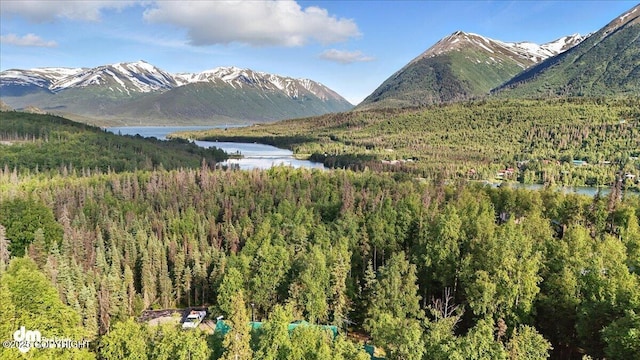 18095 Langille Rd, Cooper Landing, AK 99572 - mountain view featuring a nearby body of water and a heavily wooded area
