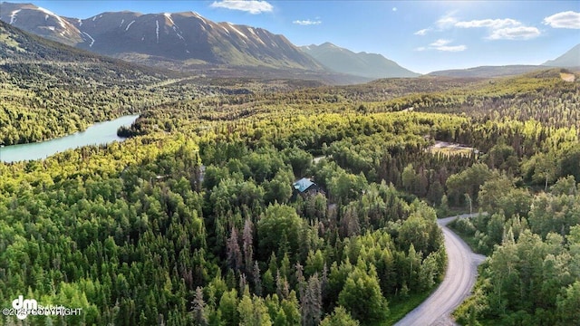 18095 Langille Rd, Cooper Landing, AK 99572 - view of mountain background featuring a heavily wooded area