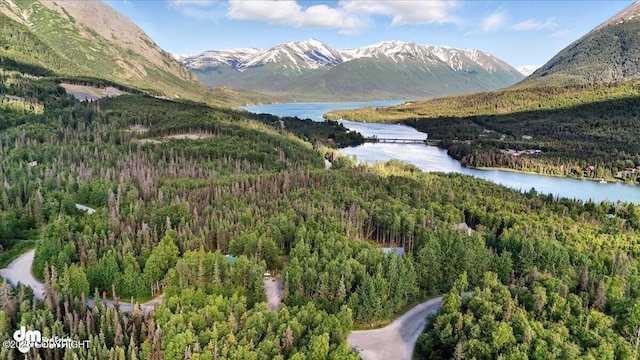 18095 Langille Rd, Cooper Landing, AK 99572 - mountain view with a forest and a nearby body of water