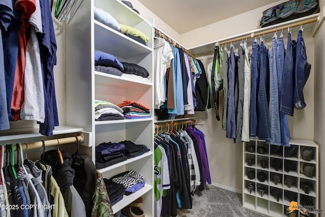 7862 Spruce St Unit 7B, Anchorage, AK 99507 - walk in closet featuring carpet floors