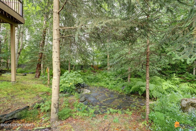 7862 Spruce St Unit 7B, Anchorage, AK 99507 - view of yard featuring a wooded view