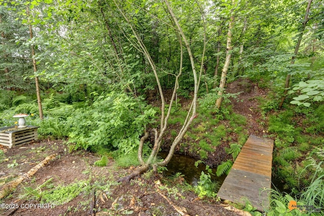 7862 Spruce St Unit 7B, Anchorage, AK 99507 - view of nature