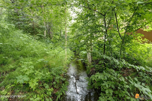 7862 Spruce St Unit 7B, Anchorage, AK 99507 - view of nature