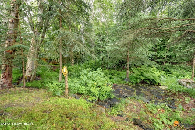 7862 Spruce St Unit 7B, Anchorage, AK 99507 - view of woods