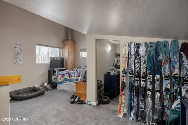 1211 Broadview Dr, Fairbanks, AK 99712 - photo 22