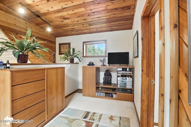 311 Alpine Meadows Ave, Girdwood, AK 99587 - office area with wooden ceiling and light colored carpet