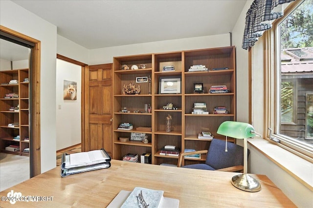 311 Alpine Meadows Ave, Girdwood, AK 99587 - view of home office