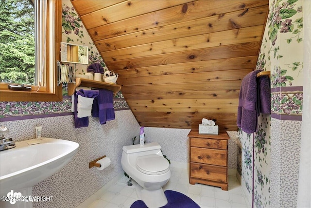 311 Alpine Meadows Ave, Girdwood, AK 99587 - half bathroom featuring lofted ceiling and toilet
