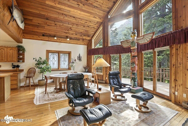 311 Alpine Meadows Ave, Girdwood, AK 99587 - living room featuring high vaulted ceiling, light wood-style floors, and wood ceiling