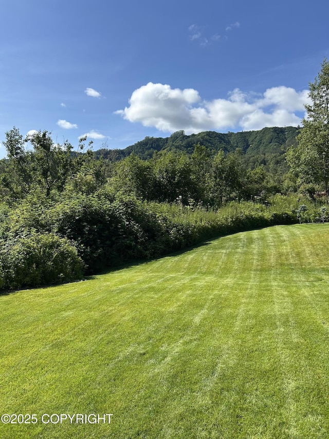 40755 Morning Star Rd, Homer, AK 99603 - photo 55