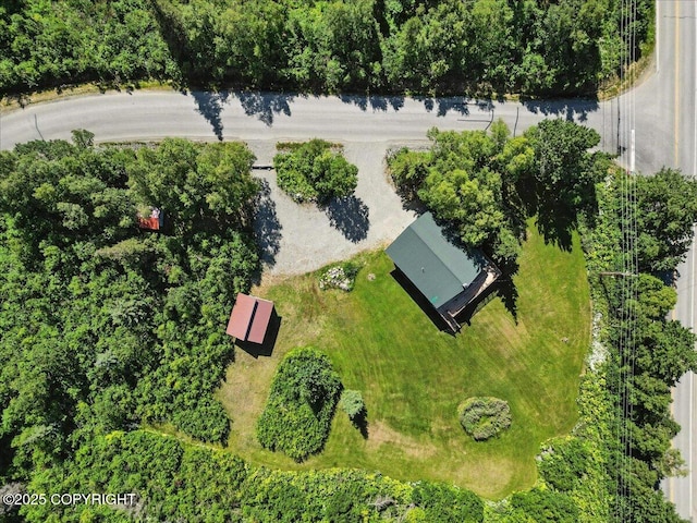 5801 Bluebell Dr, Anchorage, AK 99516 - photo 32