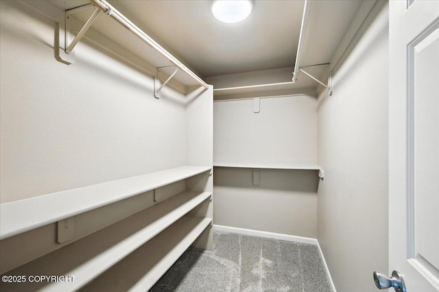5612 E Beaver Ave, Wasilla, AK 99654 - walk in closet featuring carpet flooring