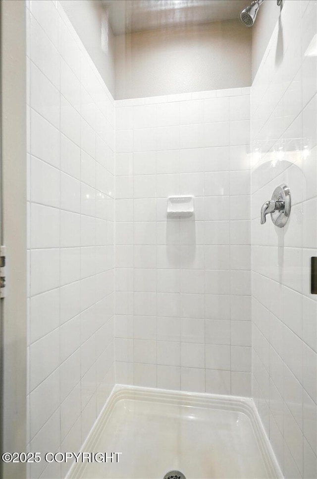 5612 E Beaver Ave, Wasilla, AK 99654 - full bathroom with a tile shower