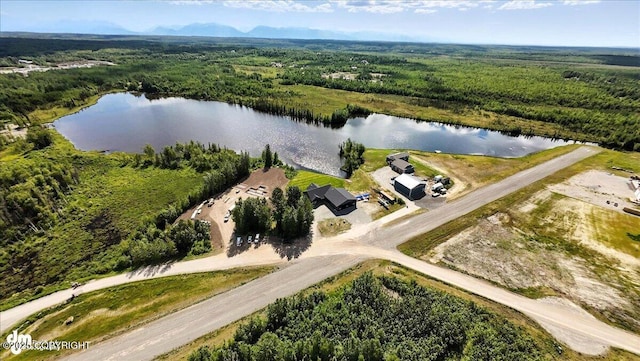 1269 S Northwind Cir, Wasilla, AK 99623 - photo 100