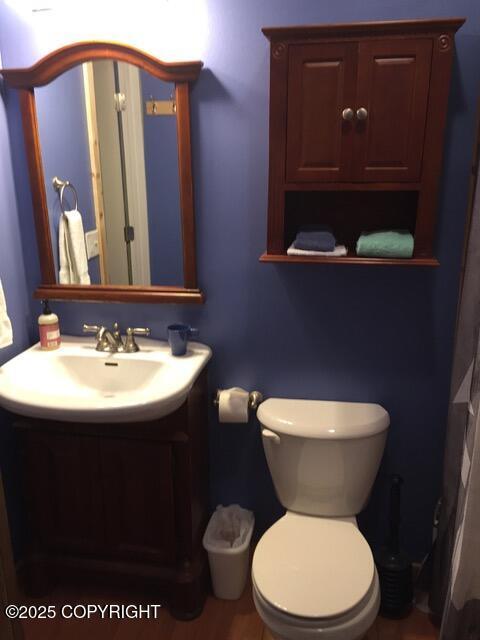 40996 Woodman Ln, Homer, AK 99603 - bathroom with vanity and toilet