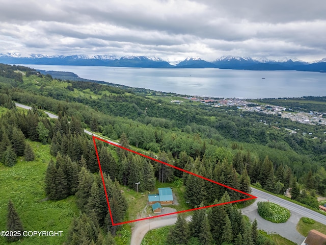 40996 Woodman Ln, Homer, AK 99603 - aerial view of property's location with a nearby body of water and property boundaries highlighted