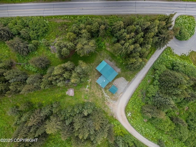 40996 Woodman Ln, Homer, AK 99603 - aerial view of property's location