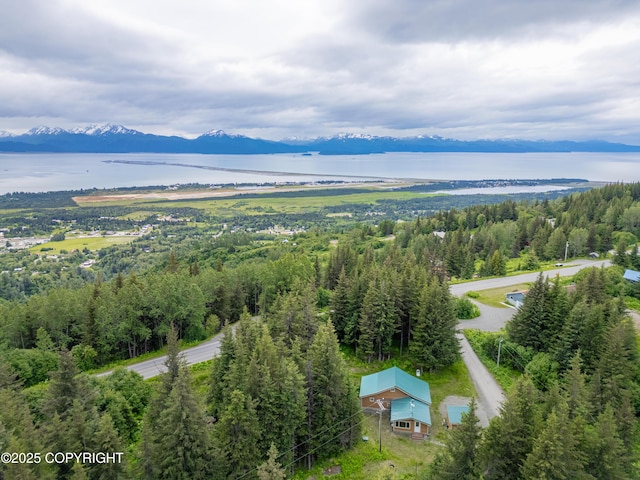 40996 Woodman Ln, Homer, AK 99603 - bird's eye view of a water and mountain view