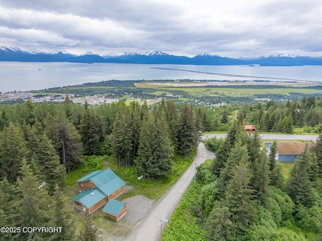 40996 Woodman Ln, Homer, AK 99603 - drone / aerial view of a water and mountain view and a forest