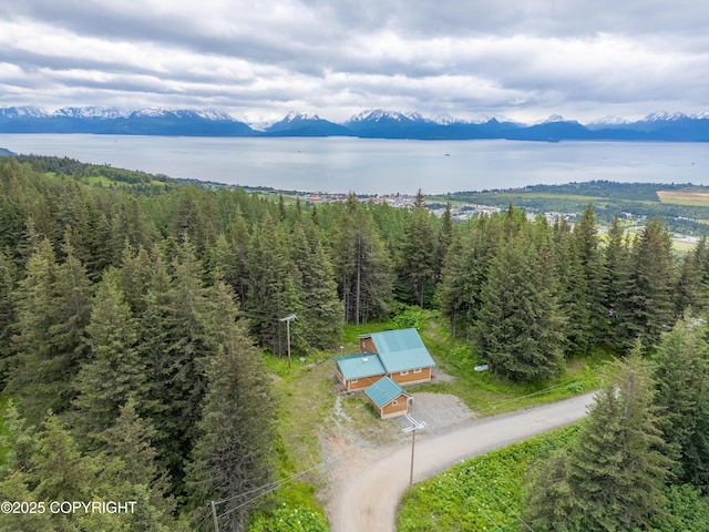 40996 Woodman Ln, Homer, AK 99603 - view of subject property featuring a water and mountain view and a forest