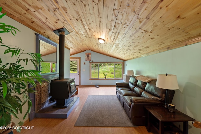 40996 Woodman Ln, Homer, AK 99603 - living room featuring a wood stove, wooden ceiling, vaulted ceiling, and wood finished floors