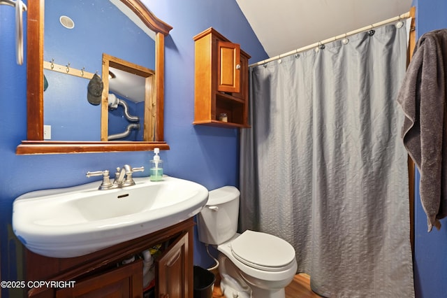 40996 Woodman Ln, Homer, AK 99603 - bathroom featuring vanity, vaulted ceiling, and a shower with shower curtain