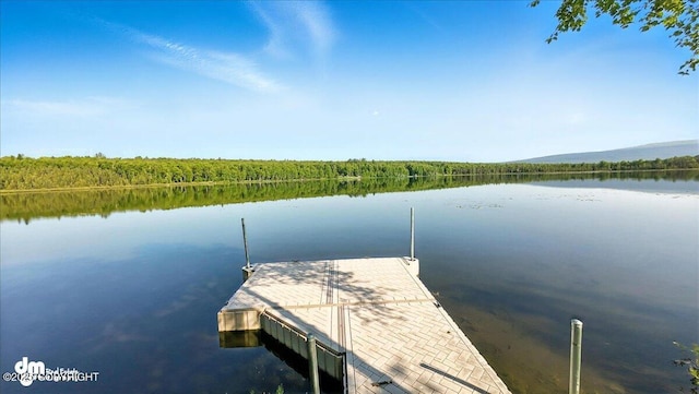 9803 W King Arthur Dr, Wasilla, AK 99623 - dock with a water view
