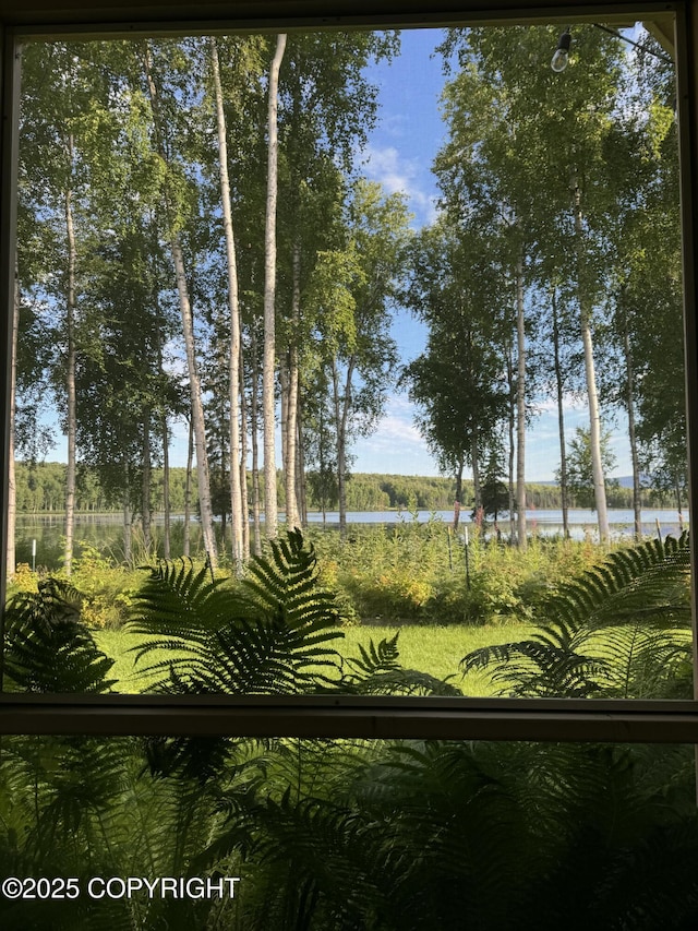 9803 W King Arthur Dr, Wasilla, AK 99623 - water view
