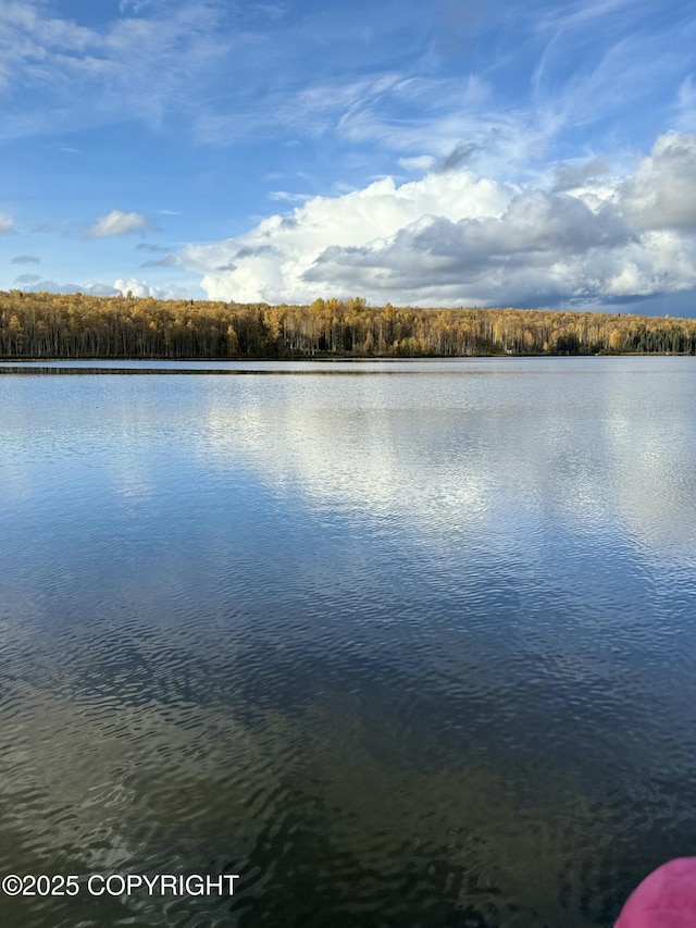 9803 W King Arthur Dr, Wasilla, AK 99623 - water view with a heavily wooded area