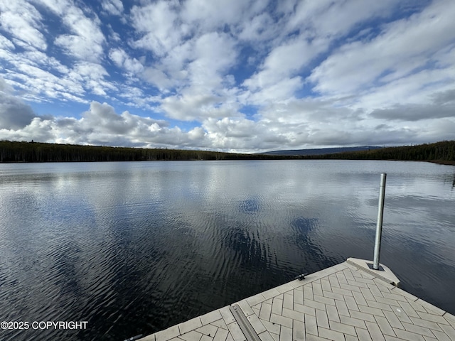 9803 W King Arthur Dr, Wasilla, AK 99623 - dock featuring a water view