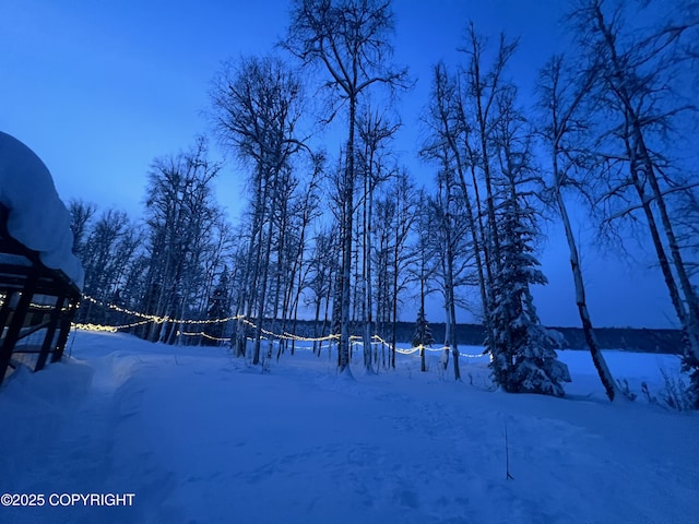 9803 W King Arthur Dr, Wasilla, AK 99623 - view of yard covered in snow