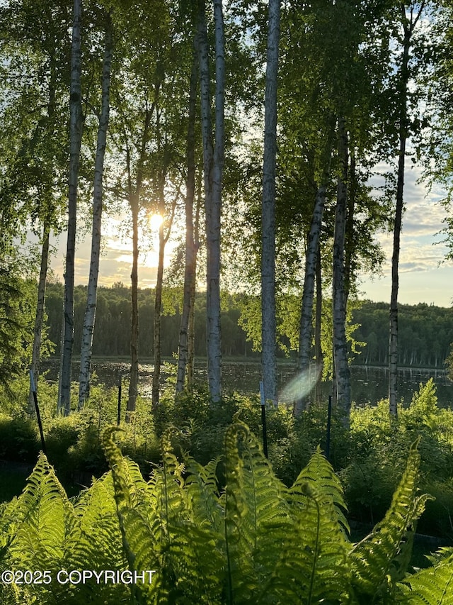 9803 W King Arthur Dr, Wasilla, AK 99623 - water view