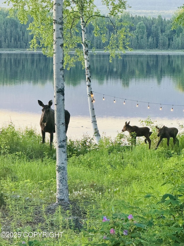 9803 W King Arthur Dr, Wasilla, AK 99623 - water view with a heavily wooded area