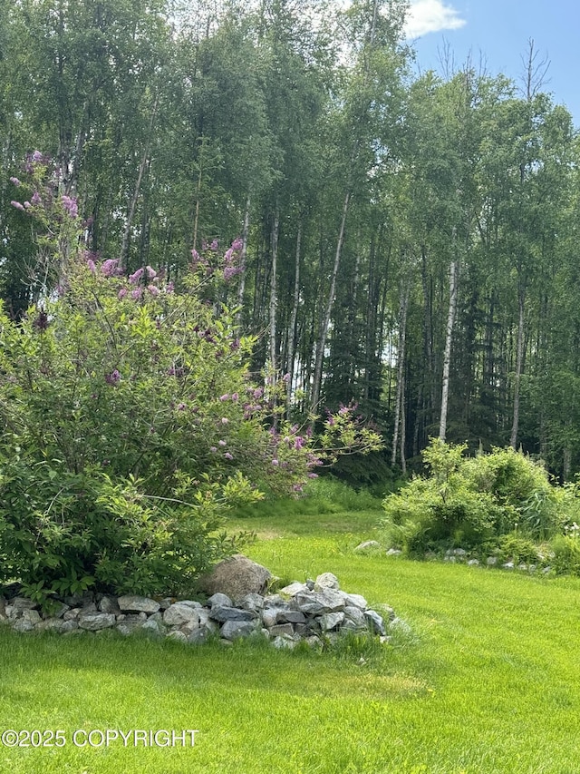 9803 W King Arthur Dr, Wasilla, AK 99623 - view of yard