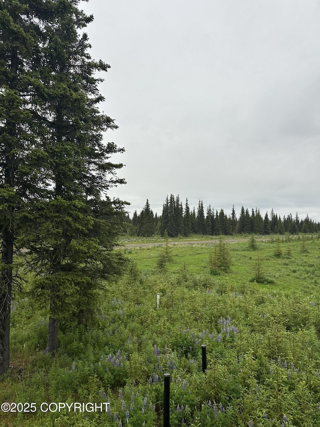 22440 Sonny St, Ninilchik, AK 99639 - view of tree filled area