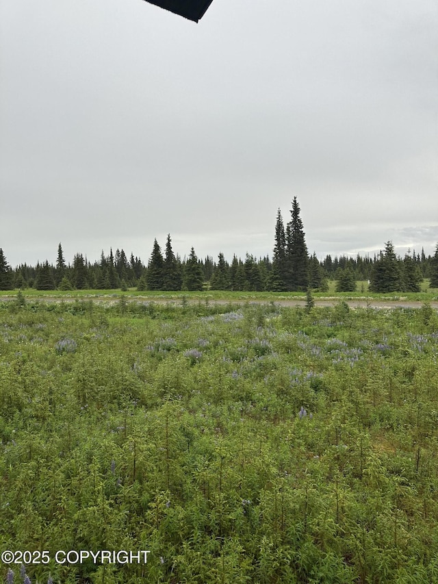 22440 Sonny St, Ninilchik, AK 99639 - view of wooded area