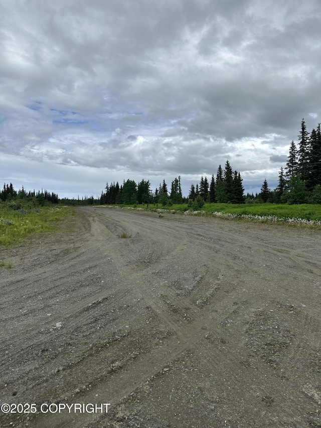 22440 Sonny St, Ninilchik, AK 99639 - view of dirt / gravel road