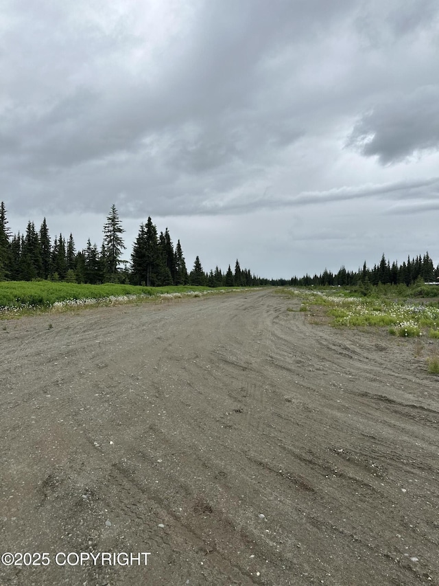22440 Sonny St, Ninilchik, AK 99639 - view of road