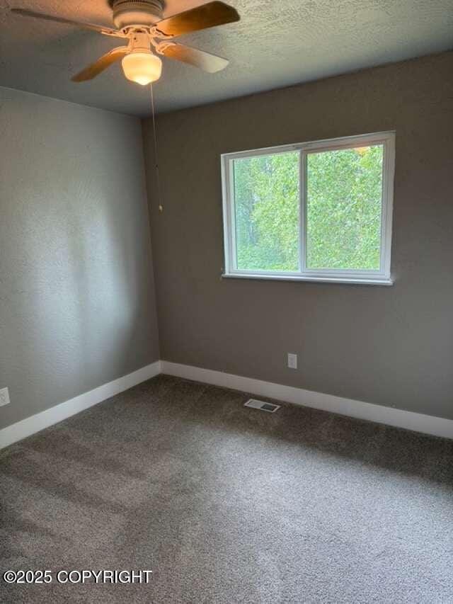 24444 Reese Rd, Chugiak, AK 99567 - photo 18