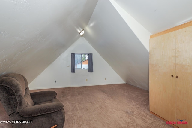 20057 E Caswell Lakes Rd, Willow, AK 99688 - additional living space with carpet and vaulted ceiling