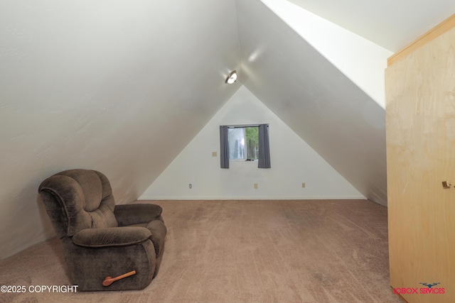 20057 E Caswell Lakes Rd, Willow, AK 99688 - sitting room with carpet and lofted ceiling