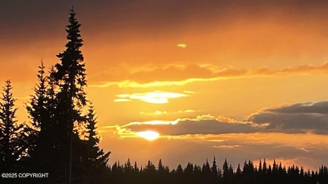 68021 Jolly Ave, Anchor Point, AK 99556 - view of nature at dusk