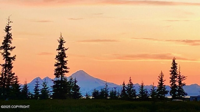 68021 Jolly Ave, Anchor Point, AK 99556 - view of mountain background
