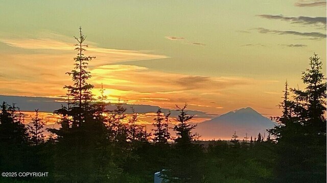 68021 Jolly Ave, Anchor Point, AK 99556 - view of local wilderness featuring a mountain backdrop