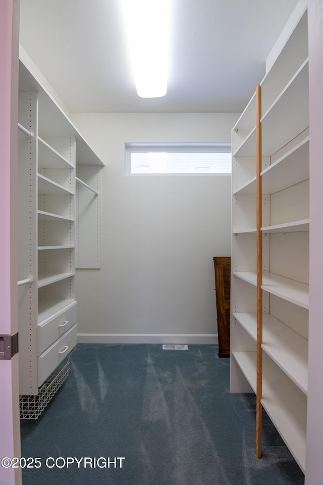 1103 Inlet Woods Dr, Kenai, AK 99611 - walk in closet with dark carpet
